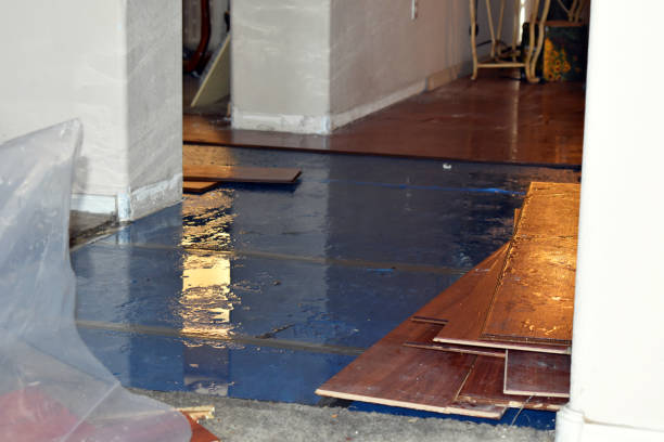 Professional Water Damage Restoration technician working in Millis, MA